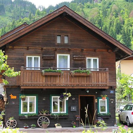 Peterlhaus Villa Kleinarl Exterior photo